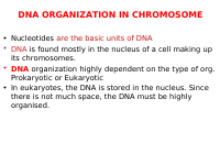 2 chromosomes updated.pdf